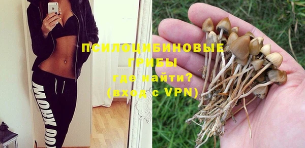 Альфа ПВП Костерёво