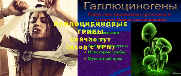 2c-b Калининец